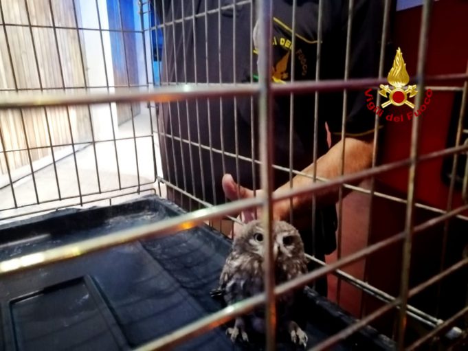 e7f75147-5ccc-42a1-94af-f0d7e65f3ad3