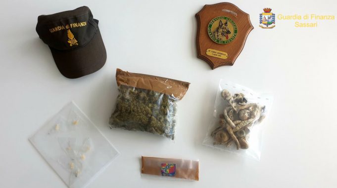 01cbe541-491c-4cd7-93c9-04ce94df0328