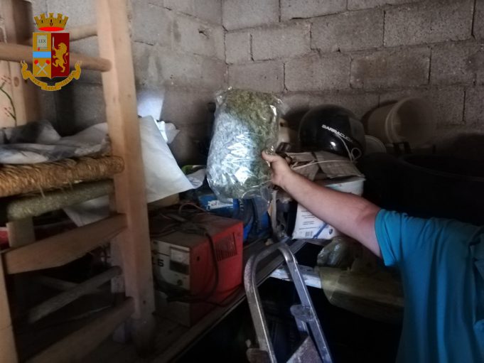 Marjuana-rinvenimento-guasila