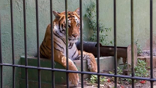 106121252_3718011708214241_4673118308348755755_n