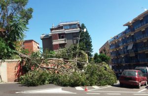 Paura a Cagliari, crolla albero in strada