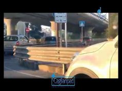 Gregge invade (ancora una volta) la rotonda di via Peretti. “Nessuno interviene”. Lo diceva Truzzu nel 2017