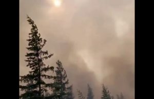 Artico in fiamme, gli incendi in Siberia coprono 1,2 milioni di ettari