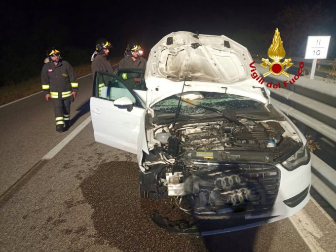 107916167_608508163116683_707797754769552385_n