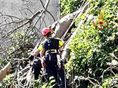 Cagliari, intervento dei Vigili del fuoco per alberi pericolanti