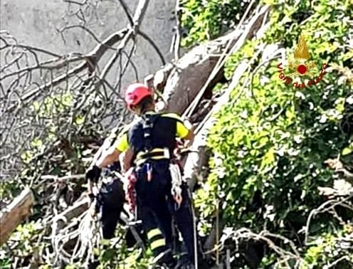 107956658_703146860538724_3074052350633566423_n