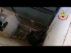 Cagliari, gattino in difficoltà finisce in un cavedio: soccorso dai Vigili del fuoco