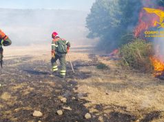 Inferno di fuoco a Nuoro: decine di uomini impegnati per spegnere l’incendio