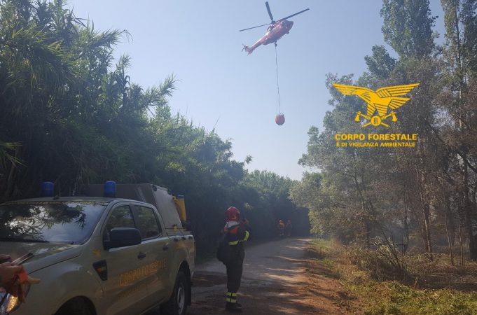 IMG-20200728-WA0002-LOGO