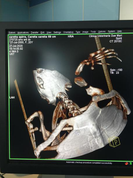 1961bacca4a1c6ac4643a62b6001da78