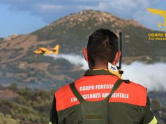 Brucia la Sardegna, fiamme a Loculi: in azione un canadair e due elicotteri
