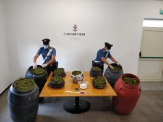 Nascondeva più di 50 chilogrammi di marijuana nel garage, in manette un 32enne