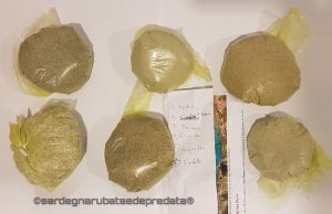 Due chili di sabbia rubata: mille euro di multa per una famiglia francese