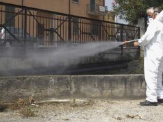 Cagliari, nuovo intervento di derattizzazione: ecco le vie coinvolte