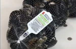 Allerta per cozze contaminate da tossine: richiamato “Misto scoglio” dai supermercati Bennet