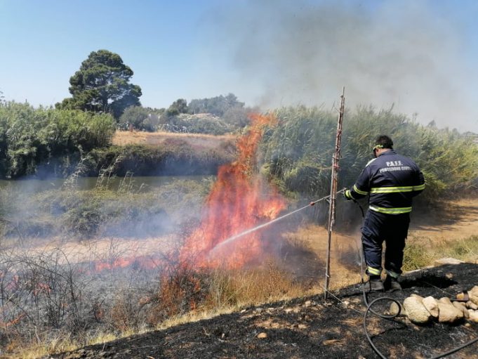 118226618_946258705879443_6396865642146119549_n