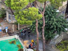 Cagliari: albero cade sopra un’auto per il forte vento, nessun ferito