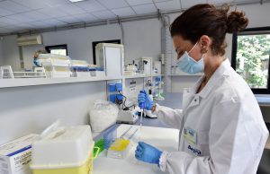 Covid, altri 14 positivi a Gavoi: contagiato anche un bimbo