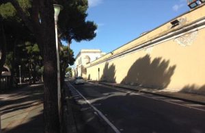 Taglio dei pini in viale Buoncammino a Cagliari: ambientalisti in rivolta