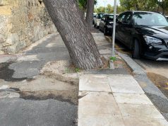 Cagliari, per motivi di sicurezza verrà abbattuto un albero in viale Buoncammino