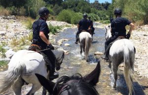 Reggimento Carabinieri a Cavallo Oristano, al via reclutamento di cavalli