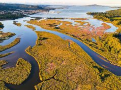 Arzachena: sui terreni confiscati alla mafia sorgerà un parco naturalistico