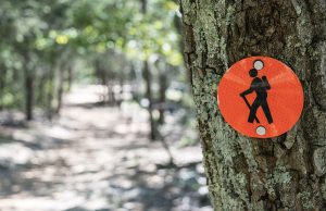 Parchi e foreste della Sardegna: alla ricerca di pace in mezzo alla natura