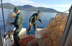 Alghero pesca illegale