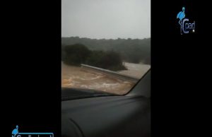 Maltempo in Sardegna: le forti piogge allagano la strada tra Oliena e Dorgali