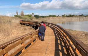 Cagliari, vicino alla riapertura il ponte del Parco di Terramaini: fu bruciato nel 2016