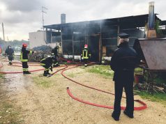 Fuoco al ristorante della Butterfly House di Olmedo, salvate le oltre 400 farfalle