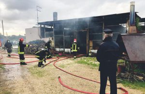 Fuoco al ristorante della Butterfly House di Olmedo, salvate le oltre 400 farfalle