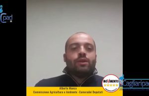 Manca (M5S): “Presunte irregolarità nella vendita online dell’Agnello di Sardegna”