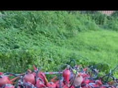 Sassari, 350 estintori abbandonati per strada: due denunciati