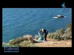 Cagliari, Municipale salva un gabbiano