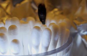 Covid, tamponi quasi dimezzati nell’ultimo mese