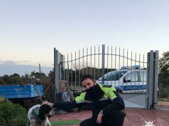 Ss195 a Cagliari, Municipale trova e salva un Setter