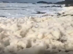 schiuma mare Pistis