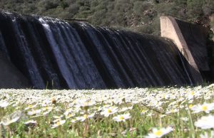 No all’abbattimento della diga di Sant’Antonio, Opposizione al sindaco di Uta: “Si proceda uniti”