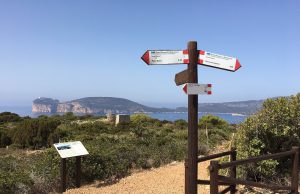 Hotel a Punta Giglio, gli ambientalisti storcono il naso