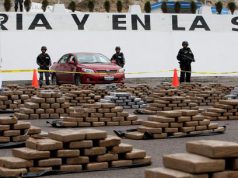 Ecuador: cane antidroga fiuta 1,3 tonnellate di cocaina