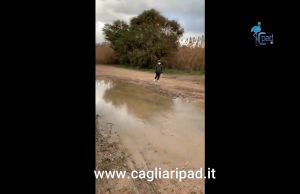 Quartu, decine di ambientalisti nelle spiagge del litorale: raccolti rifiuti di ogni tipo