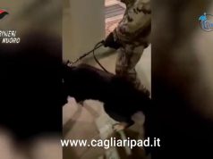 Galtellì, i Carabinieri scoprono un traffico di cocaina e marijuana in Baronia, 4 misure cautelari
