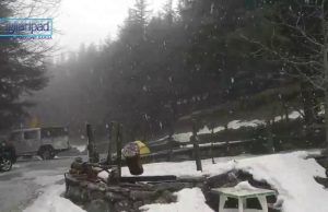 Fiocchi di neve imbiancano le cime della Sardegna: le immagini di su Separadorgiu